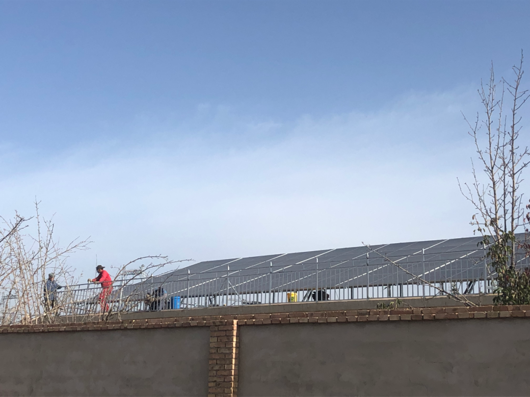 "阳光存折"添"伏"利 肃州"蓝板板"助力乡村振兴