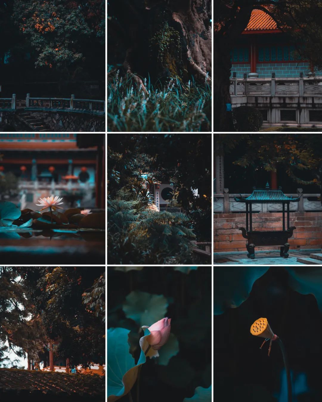 @图虫创意