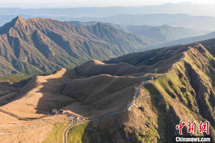 武功山的数十万亩高山草甸在阳光的照射下熠熠生辉。　刘力鑫 摄