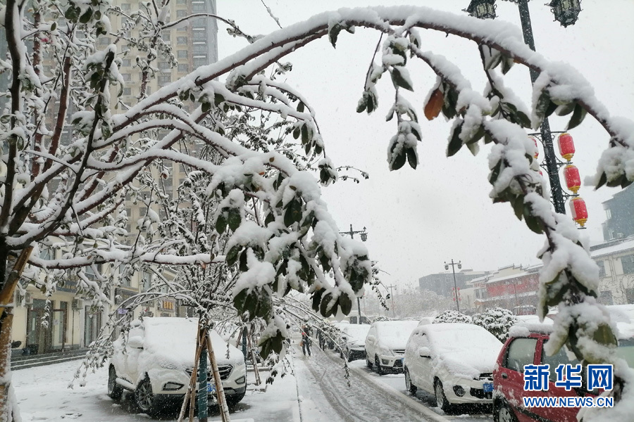 保定蠡县迎来降雪。李燕摄