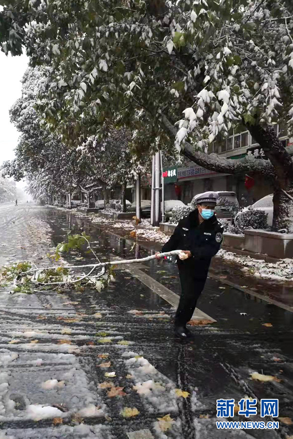 石家庄交警将折断的树枝拖离主干道。石家庄市交管局供图