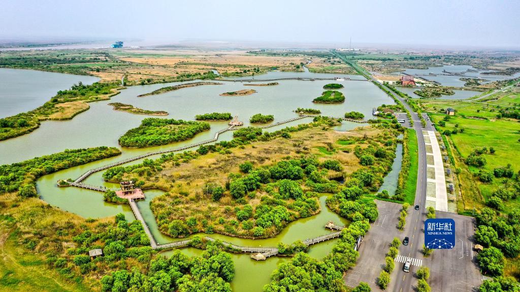 无人机航拍的山东黄河三角洲国家级自然保护区景色。（新华社记者郭绪雷 摄）