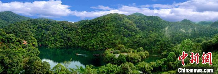 广东首单林业碳汇指数保险落地肇庆