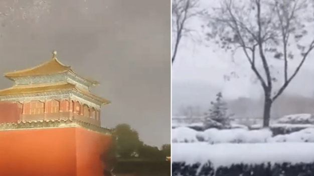 全国各地雪景混剪：故宫白雪镶红墙 内蒙现“雷打雪”景象