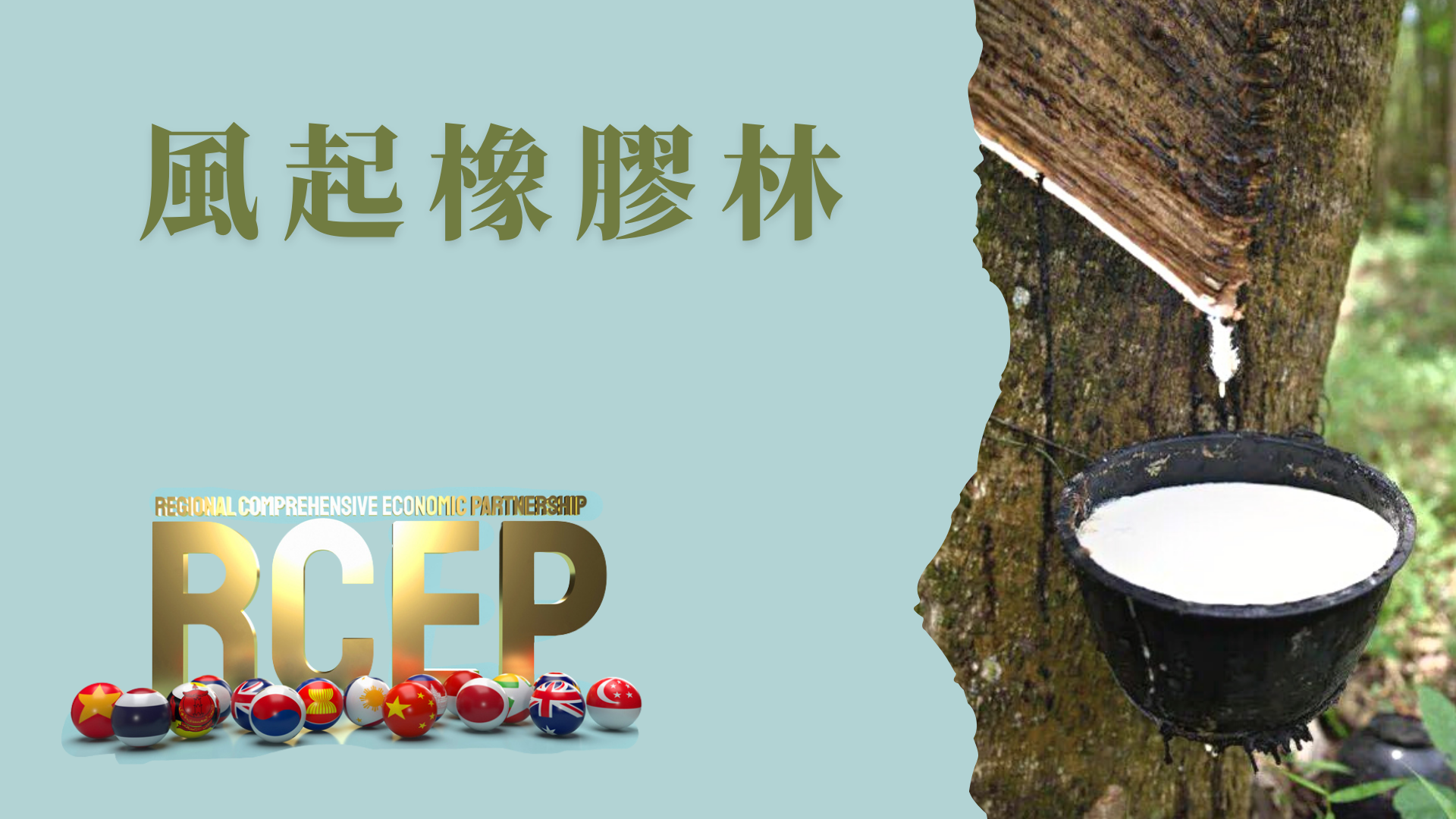 RCEP｜风起橡胶林