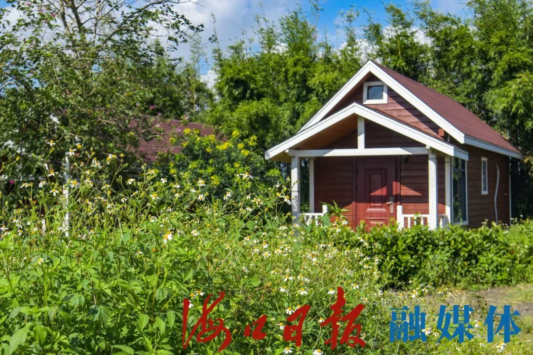 11月6日，海南荔海共享农庄内的红色小木屋为市民游客提供多样化的游玩体验。