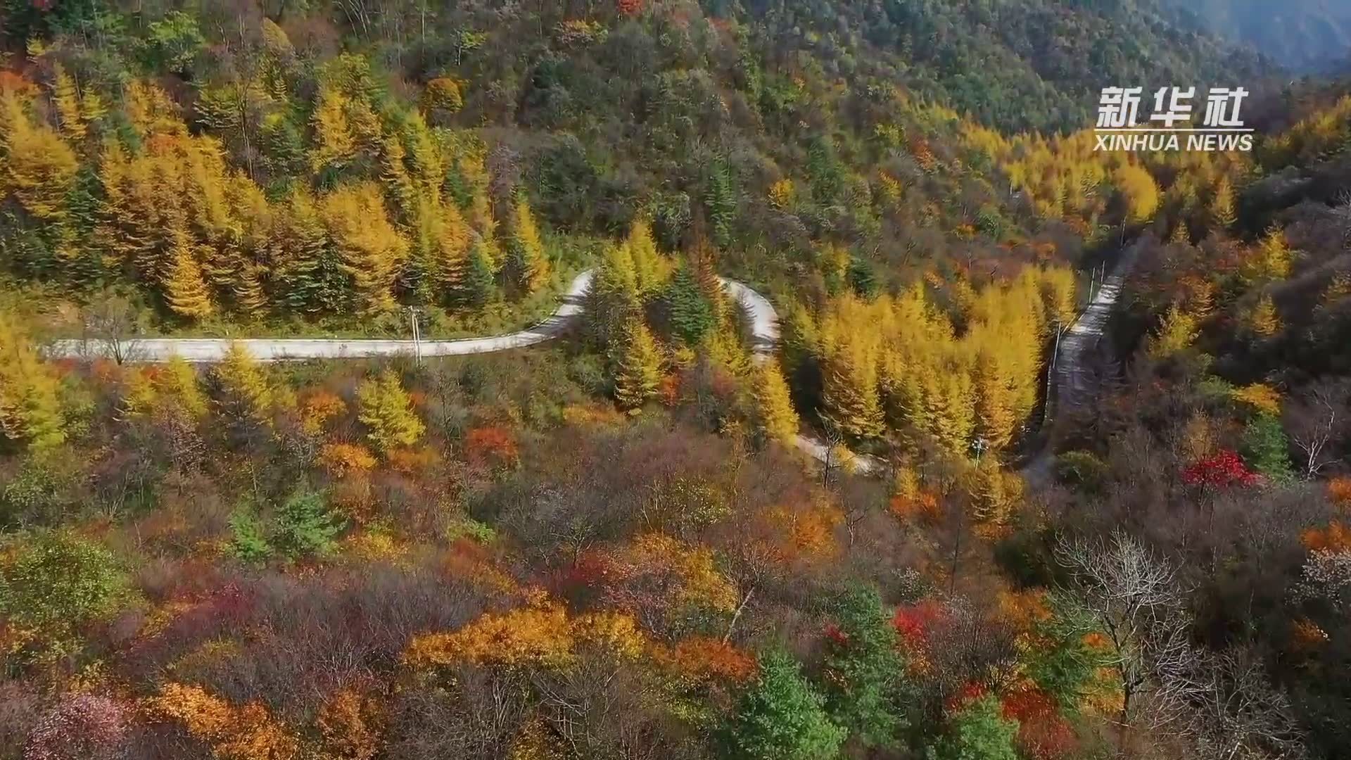 千城胜景｜秋去冬来 看陕西美景如画