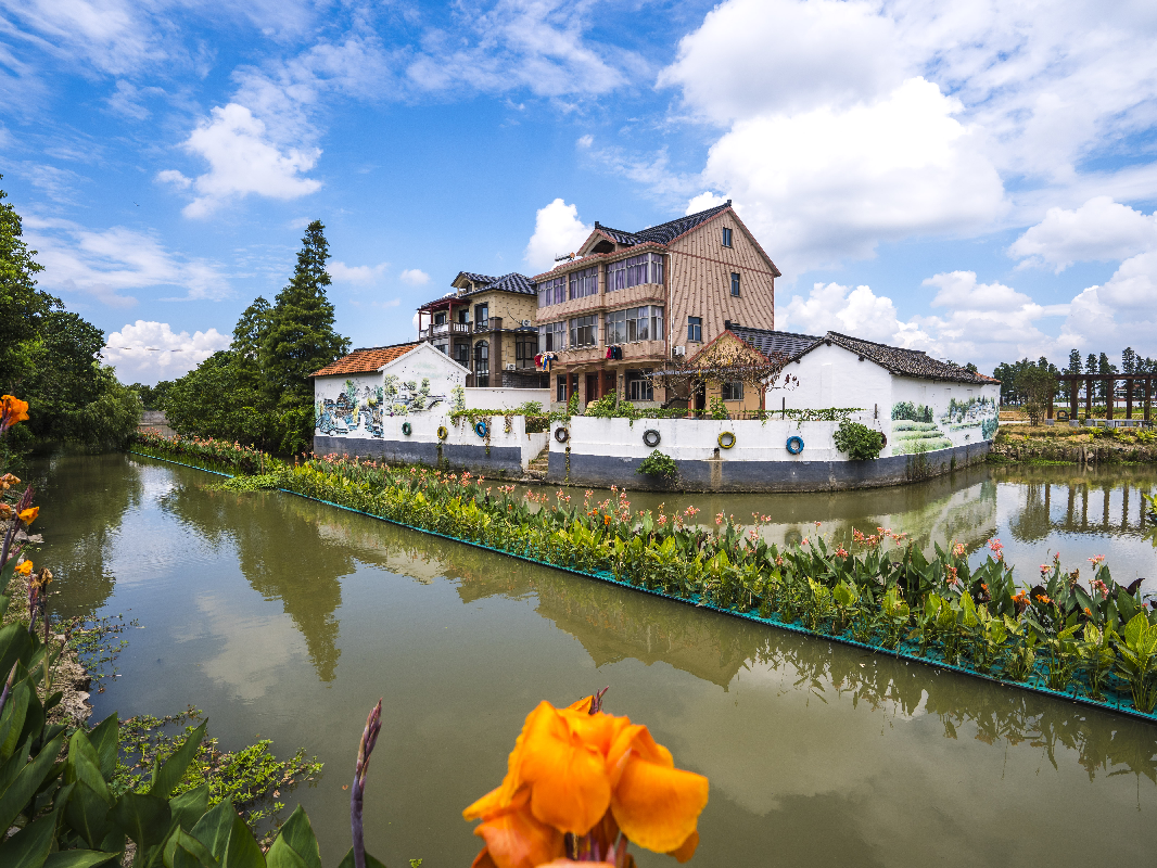 美镇蝶变老镇焕彩沈荡镇美丽城镇创建省考交出高分答卷