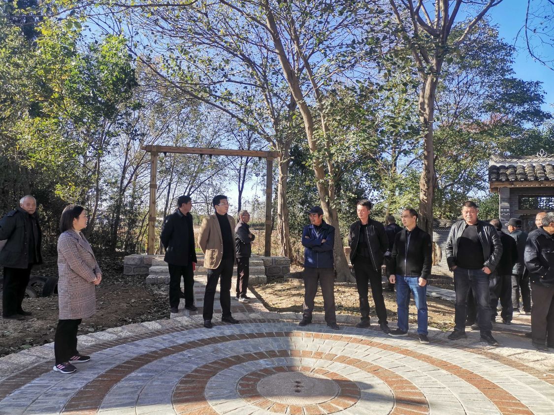 平桥区肖王镇学习理思路观摩促提升