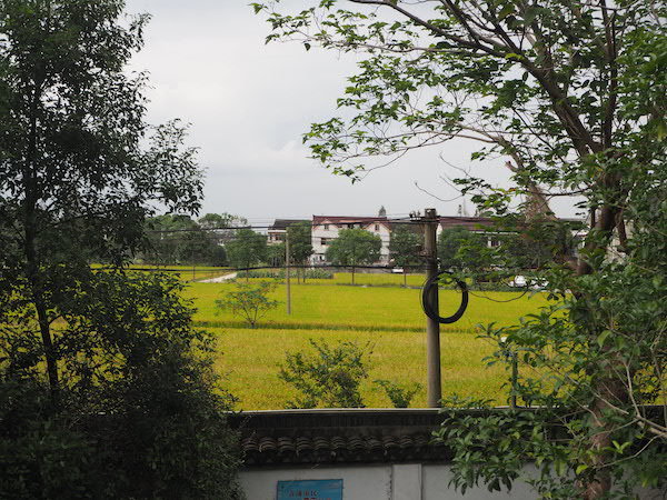 站在福泉山遗址景区向围墙外远眺，周边是一片农田，与上世纪八十年代景致无异