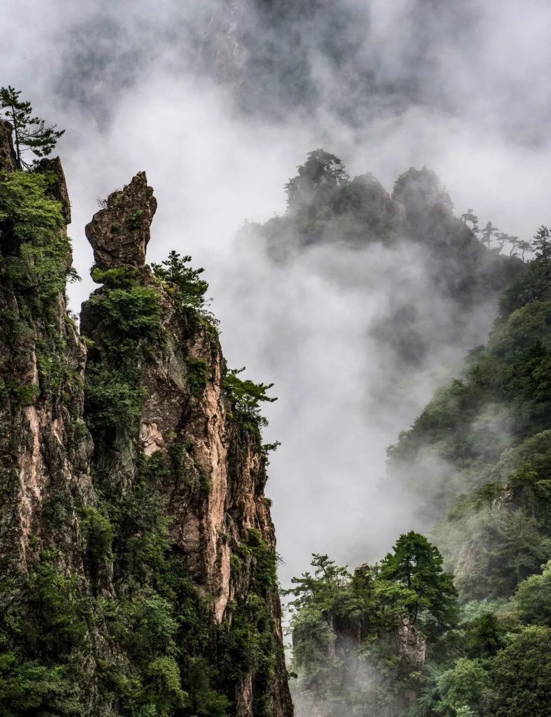 这里是吸收天地灵气的地方——"神都洛阳 61 山岳经典十里画廊"