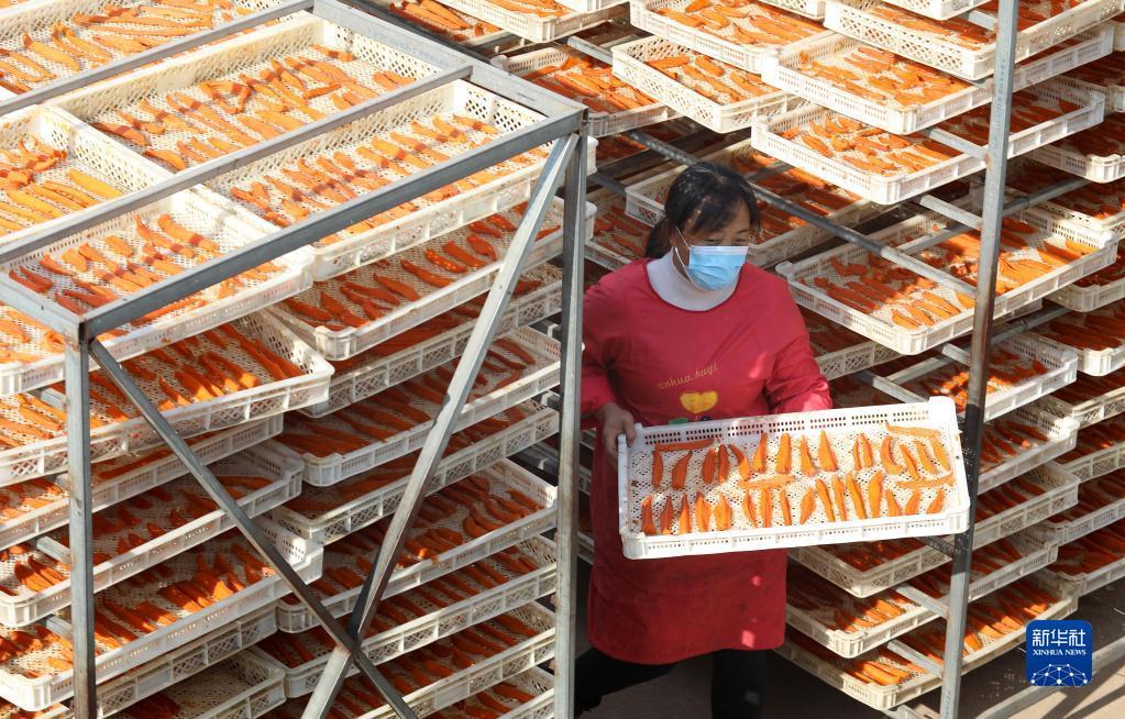 11月18日，在河北省行唐县口头镇一家红薯干生产基地，农户在晾晒红薯干。