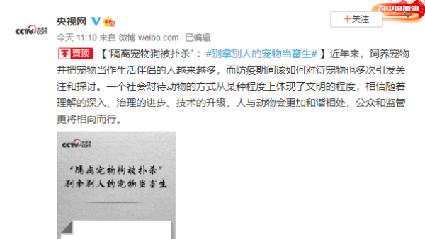 央视网评“隔离宠物狗被扑杀”：别拿别人的宠物当畜生