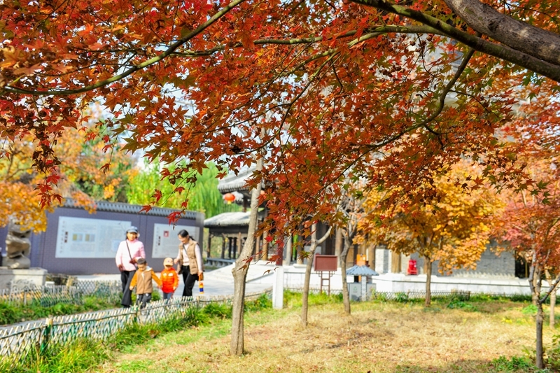 青州古城偶园望春楼前小路