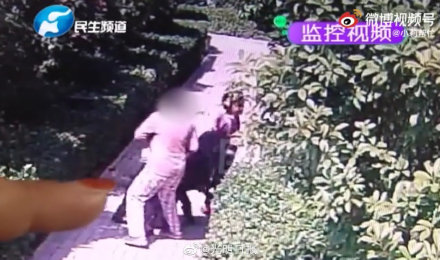 河南安阳狗咬人事件“急哭小莉” 狗主人耍无赖为何拿他没辙？