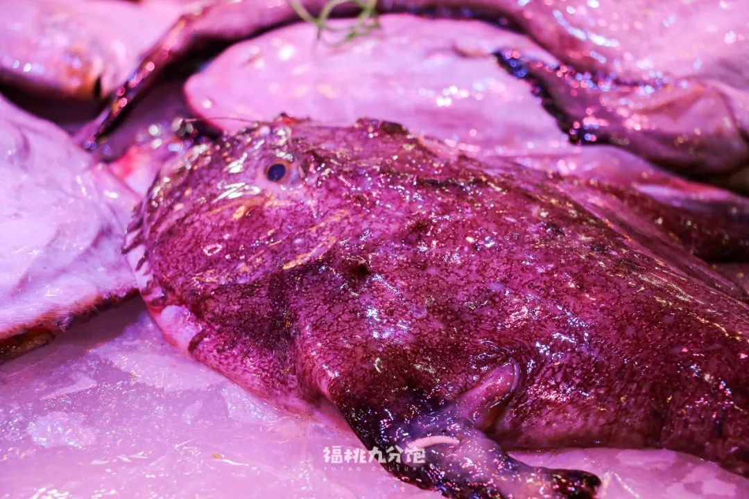 还有一些让北方人长见识,让南方人魂穿老家的东海鱼,比如头上小灯还