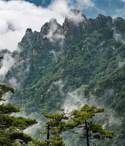 这里是吸收天地灵气的地方——"神都洛阳 61 山岳经典十里画廊"