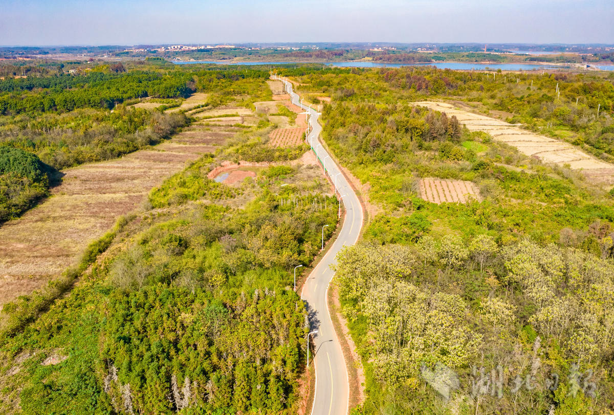 梁子湖环湖公路入口图片