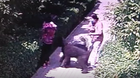 安阳狗咬人事件狗主人想和解 被咬家属：前提是在媒体见证下道歉