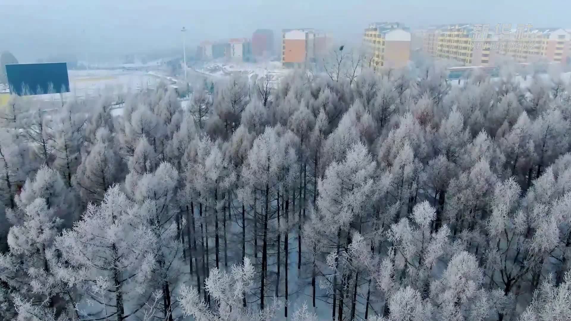 美如画!黑龙江北安现雾凇景观_凤凰网视频_凤凰网