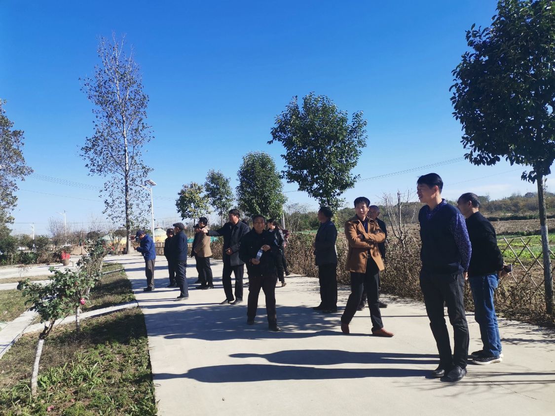 平桥区肖王镇学习理思路观摩促提升