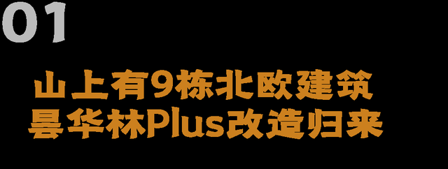 新晋打卡地！昙华林Plus归来！