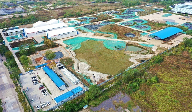 为化工土壤“排毒” 武汉汉江湾完成土壤修复迈入发展新时代