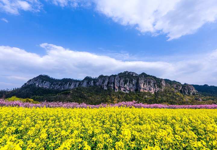 后岸村风景