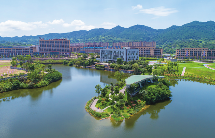 陈敏尔唐良智重点关注:重庆巴南举全区之力打造大健康产业发展新高地