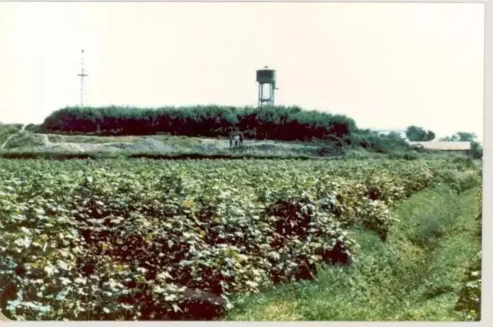 上世纪80年代福泉山远景 