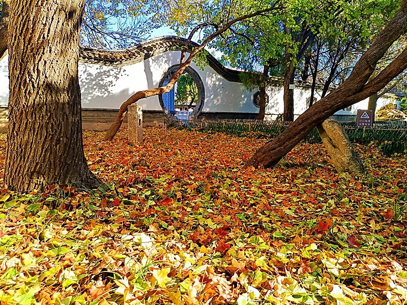 青州古城偶园佳山堂内景色