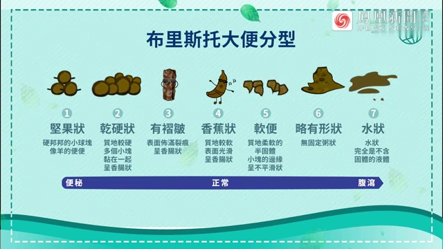 大便还能分类？看看布里斯托大便分类法