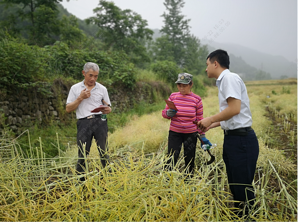 九银员工深入田间地头开展金融服务