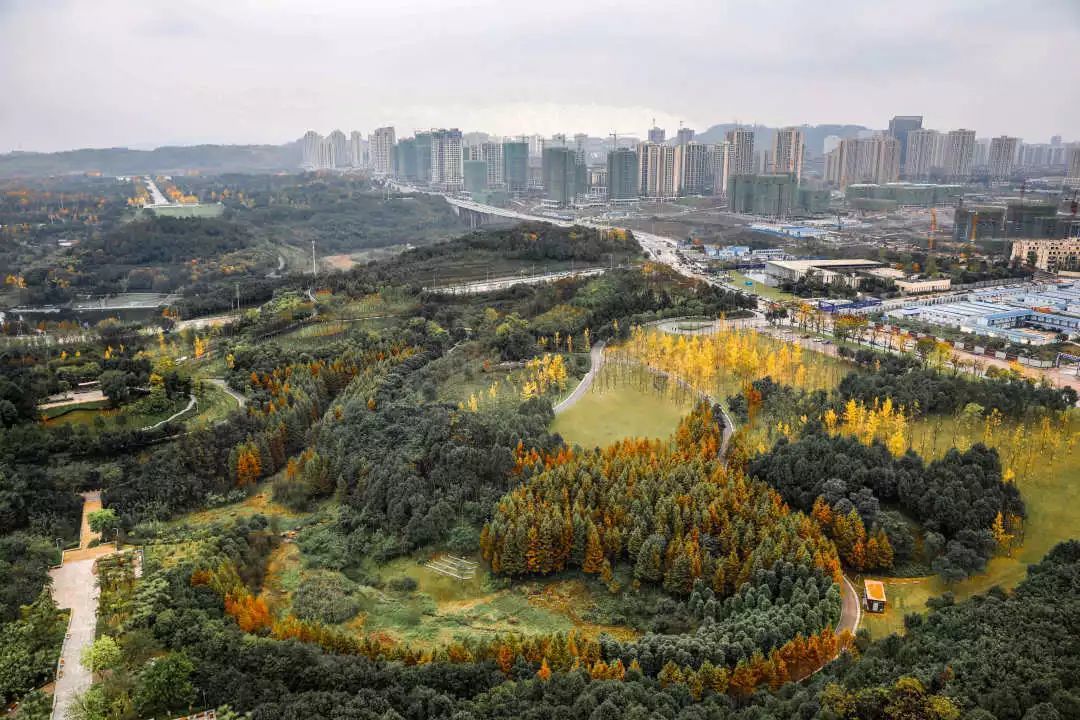 渝北的初冬美景已上线凤凰网重庆_凤凰网