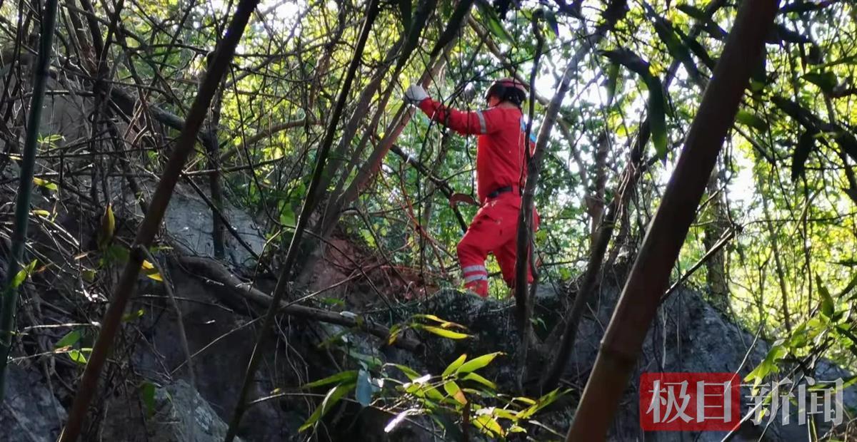 八旬老人上山訪友失蹤24天山上找到疑似失蹤老人遺體