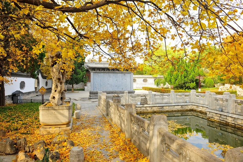 青州古城偶园松风阁前景色