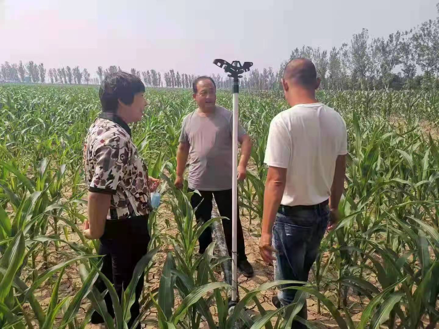 饶阳县地下水超采综合治理成效显著