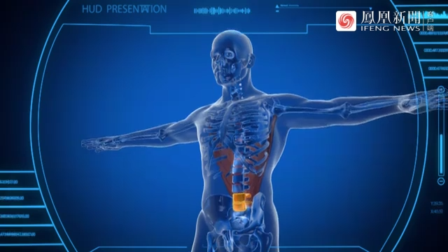腰椎间盘在什么位置？医生用模型讲解，知道的人不多