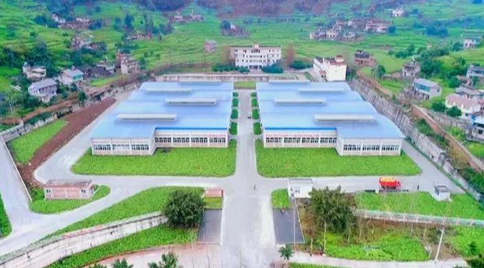 涪陵榨菜加工厂。图源：涪陵发布