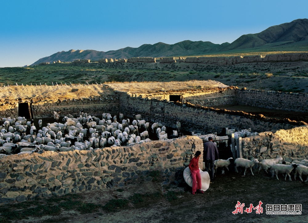 用石头修砌的羊圈