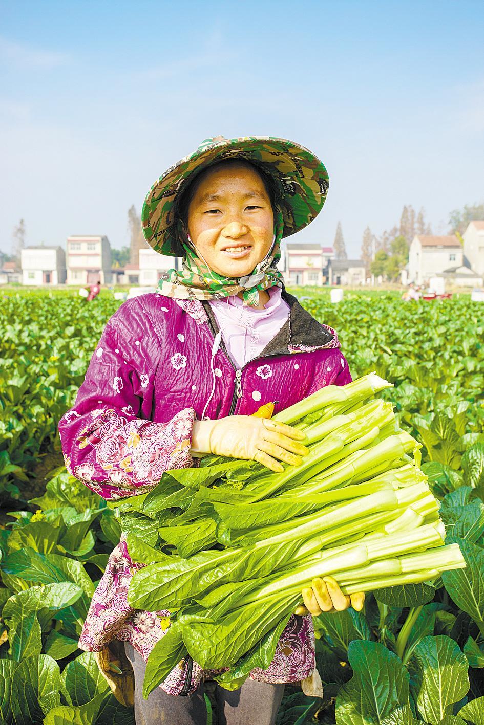 蔬菜，让刘王村村民收入在短短两年快速增长。