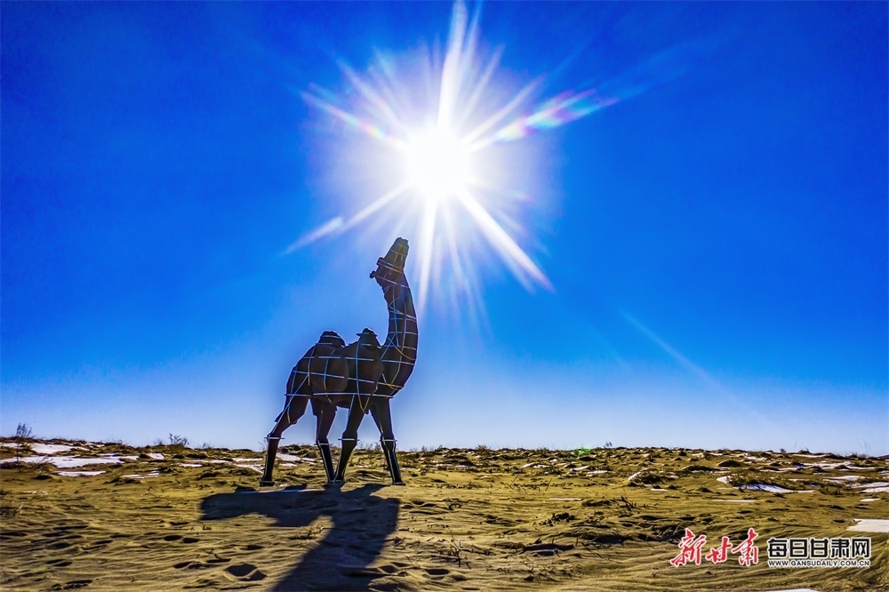 冬日的民勤沙漠：这些“骆驼”等你打卡
