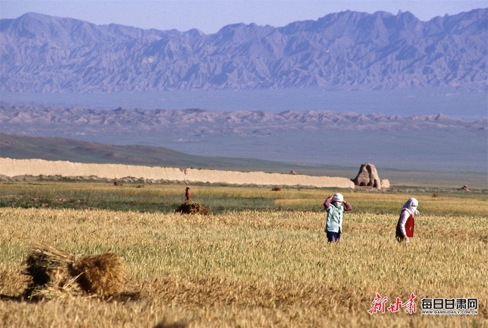麦田与山丹明长城