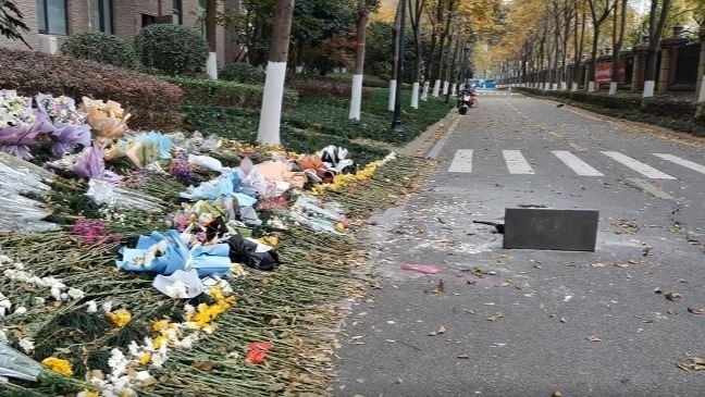 女子与遛狗业主起冲突后跳楼 曾遭狗主人们辱骂殴打