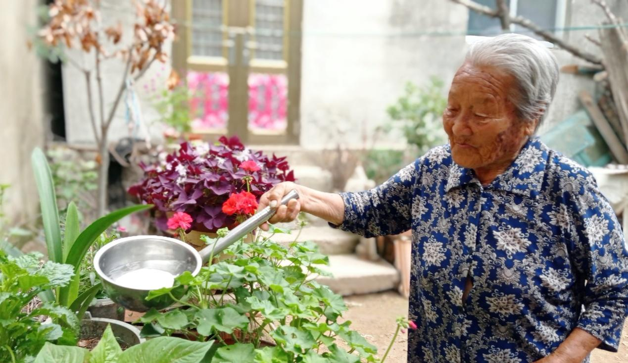 刘家兰在自家小庭院里浇花解闷