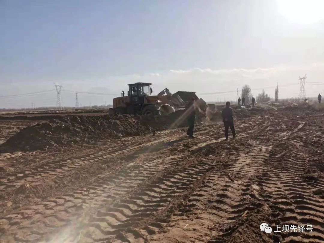 肃州"种"下新希望：高标准农田建设释放乡村振兴活力 