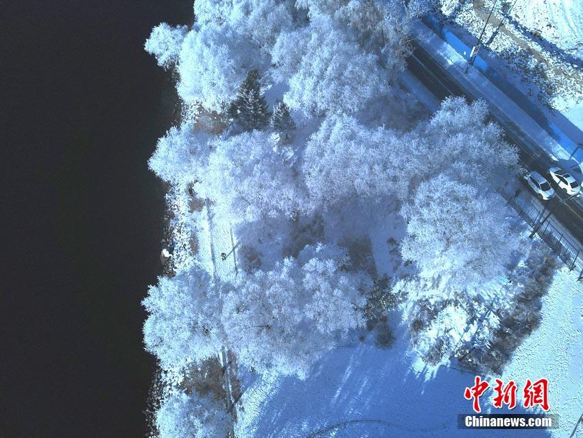 中国雾凇之都迎雾凇