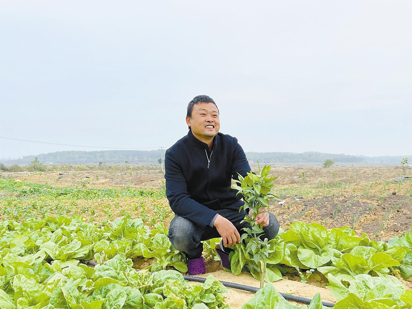 安馨农业专业合作社负责人胡志刚查看果苗长势。