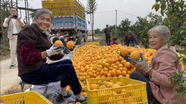 走进美丽赣州③|赣深高铁通车在即，“橙”上高铁去湾区