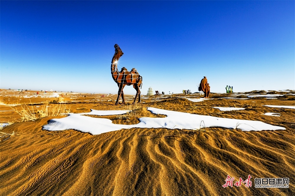 冬日的民勤沙漠:这些"骆驼"等你打卡凤凰网甘肃_凤凰网